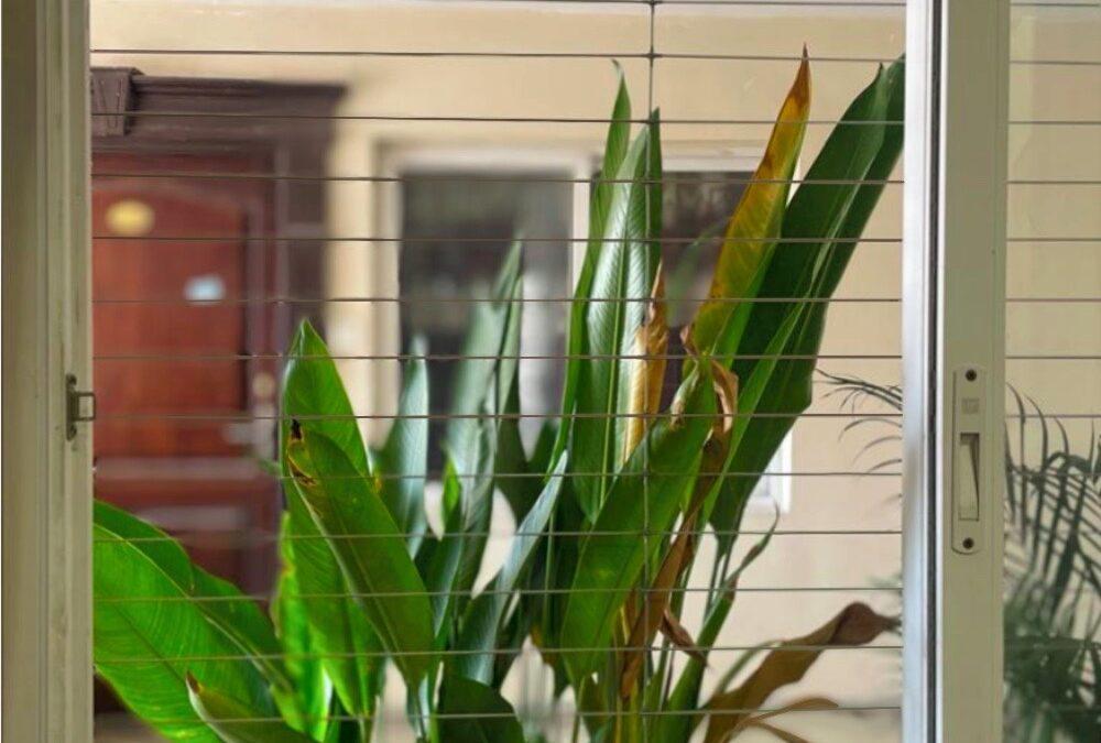 Why Invisible Grilles Are The Future Of Your Home